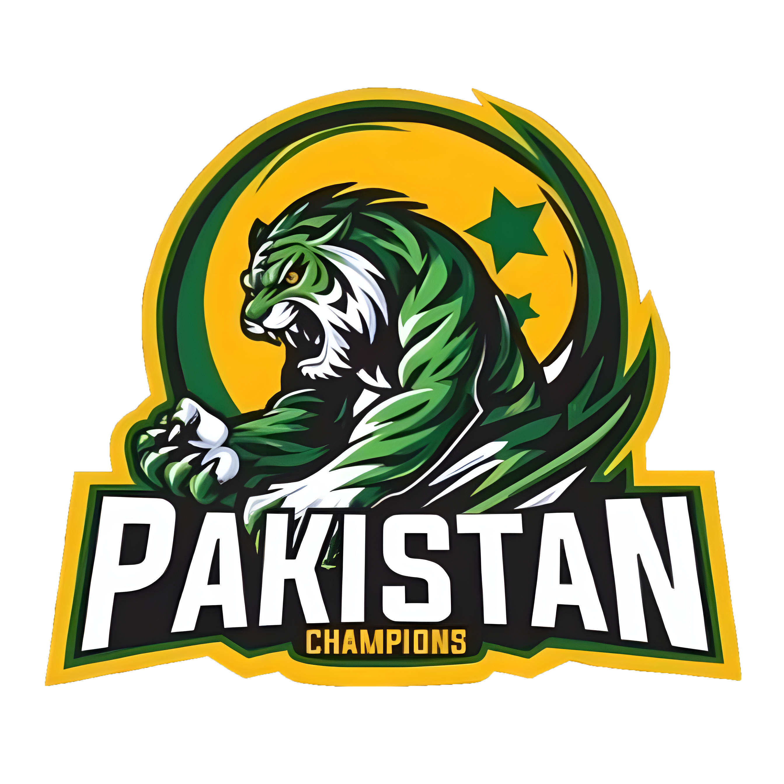 team image